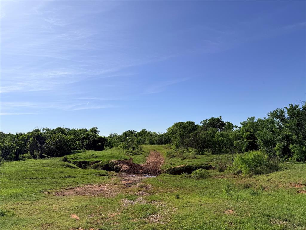 0 Troy Davis Road Olney, TX 76374 - Photo 4 of 37 a big yard with lots of green space and deers