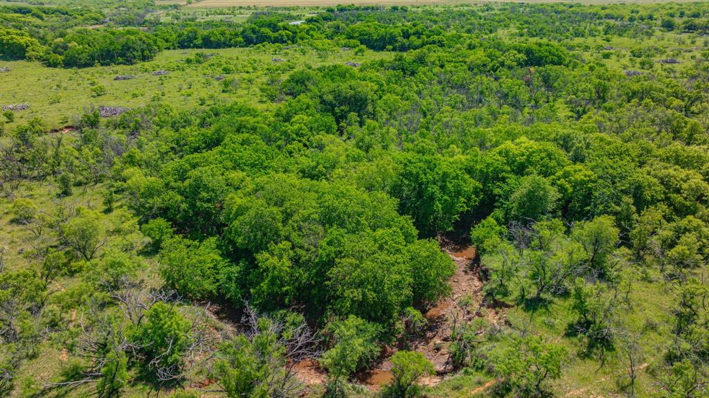 0 Troy Davis Road Olney, TX 76374 - Photo 6 of 37 a view of a lush green forest