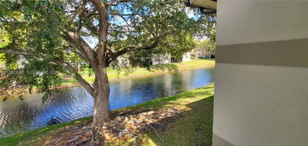 a view of a lake from a yard