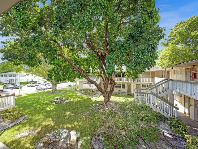 a view of a yard with plants and large trees
