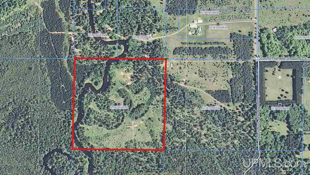 Tbd Off Co Rd Sc Felch, MI 49831 - Photo 1 of 4