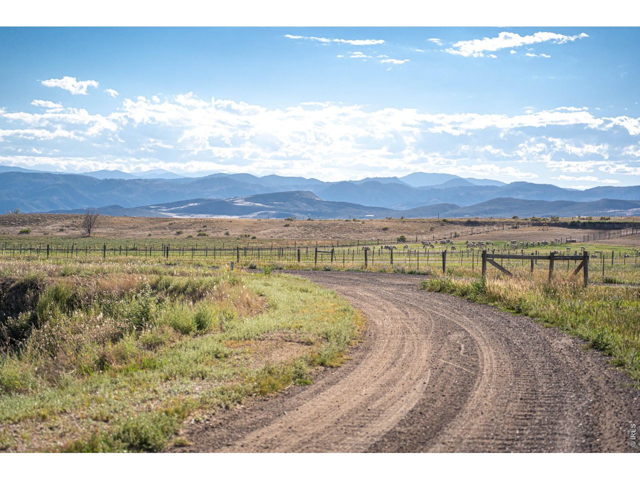 7600 Rita Lane Fort Collins, CO 80524 - Photo 7 of 50 Georgeous Views As Soon As You Get Home