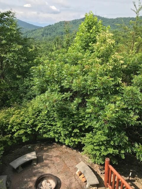 3820 Teaberry Ridge Lane Sevierville, TN 37862 - Photo 33 of 34 Gallery Image 33