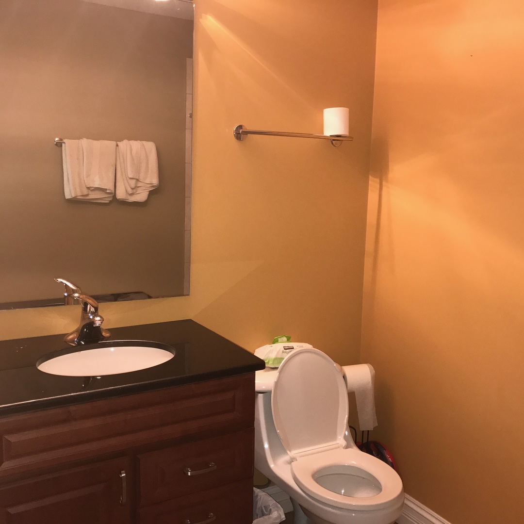 707 North Delphia Avenue Park Ridge, IL 60068 - Photo 18 of 22 a bathroom with a toilet a sink and mirror