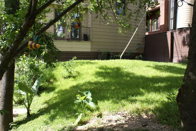 a backyard of a house with lots of green space
