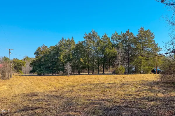 a view of outdoor space with swimming pool and trees