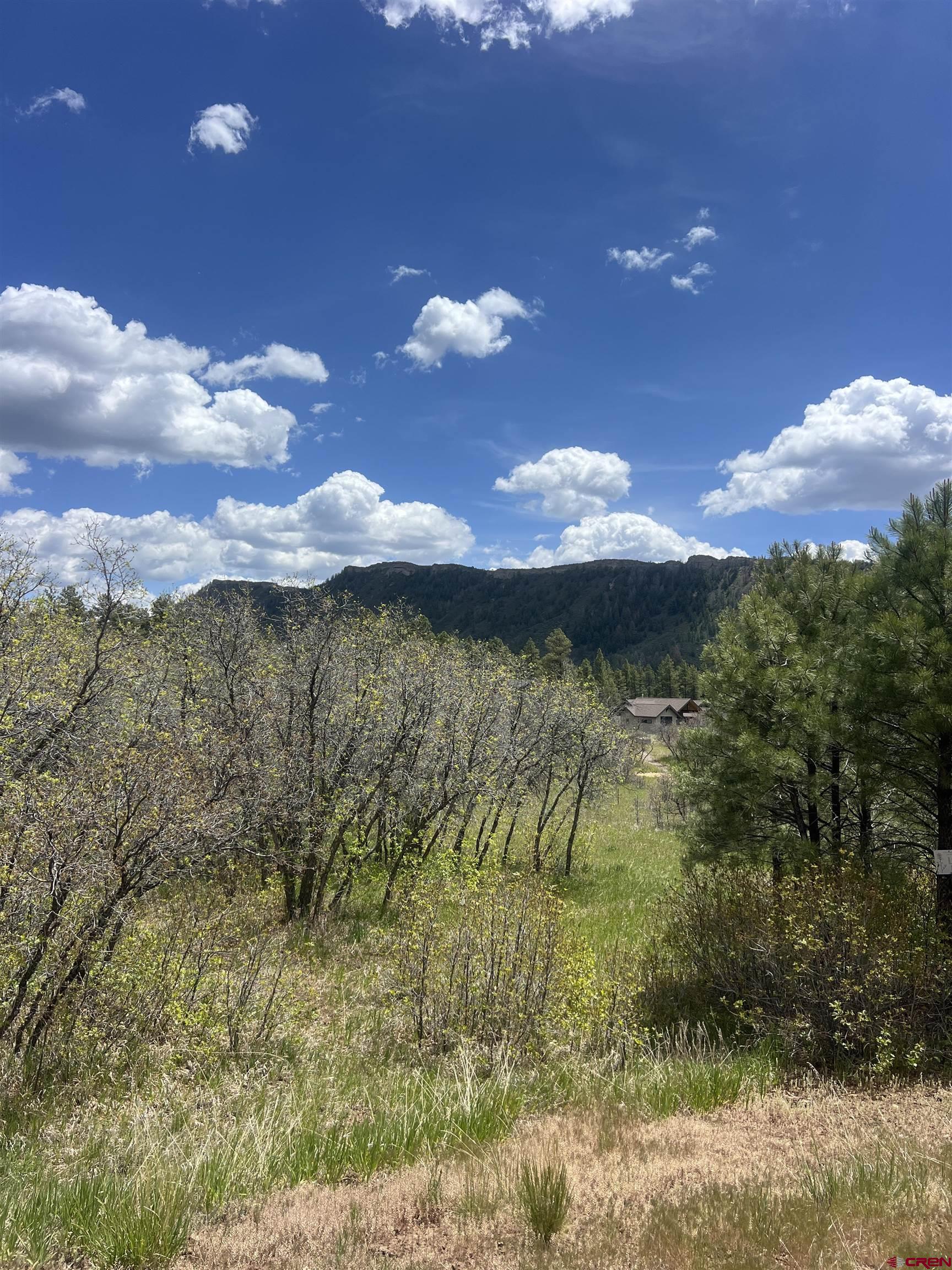29 Edgemont Meadows Road Durango, CO 81301 - Photo 4 of 6