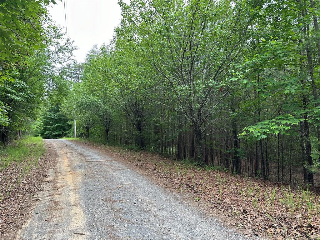 585 Galaxy Way Ranger, GA 30734 - Photo 1 of 19