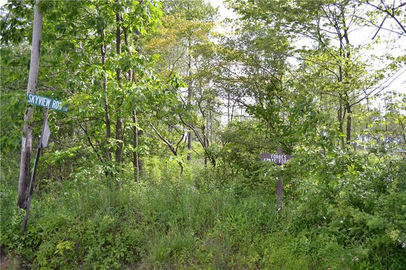 Sky View Road Donegal, PA 15628 - Photo 24 of 25 Gallery Image 24