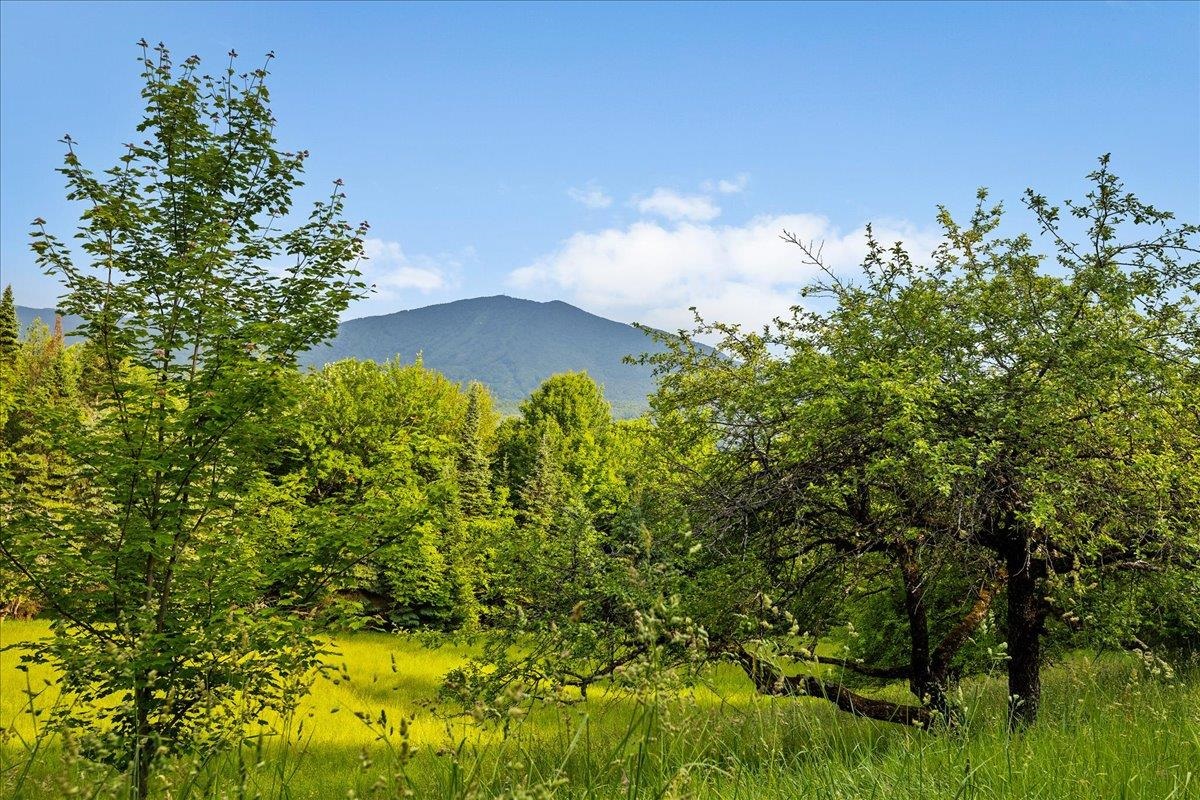 5198 Darling Hill Road Burke, VT 05832 - Photo 45 of 60