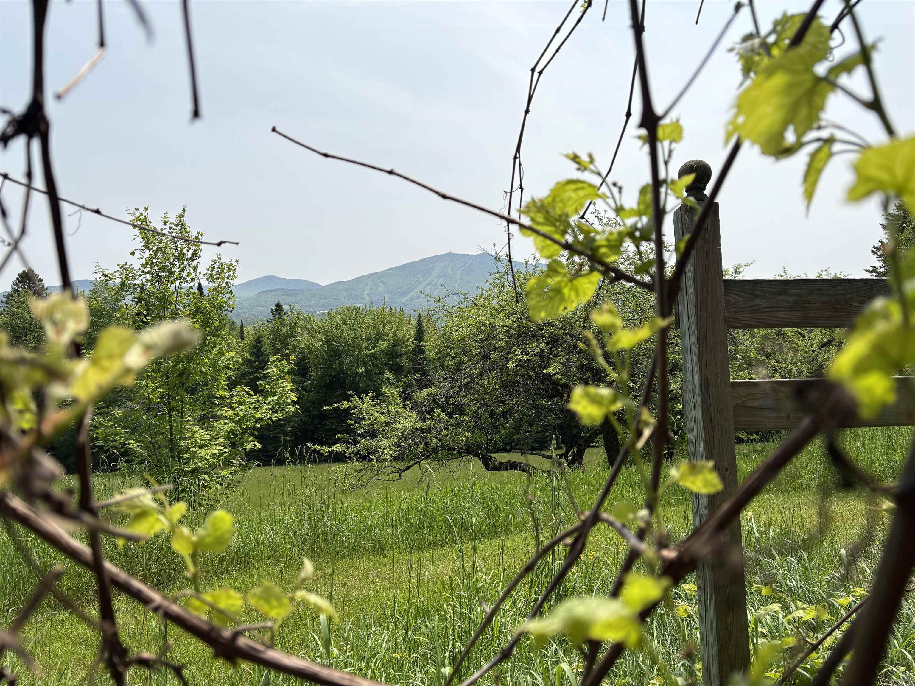 5198 Darling Hill Road Burke, VT 05832 - Photo 54 of 60