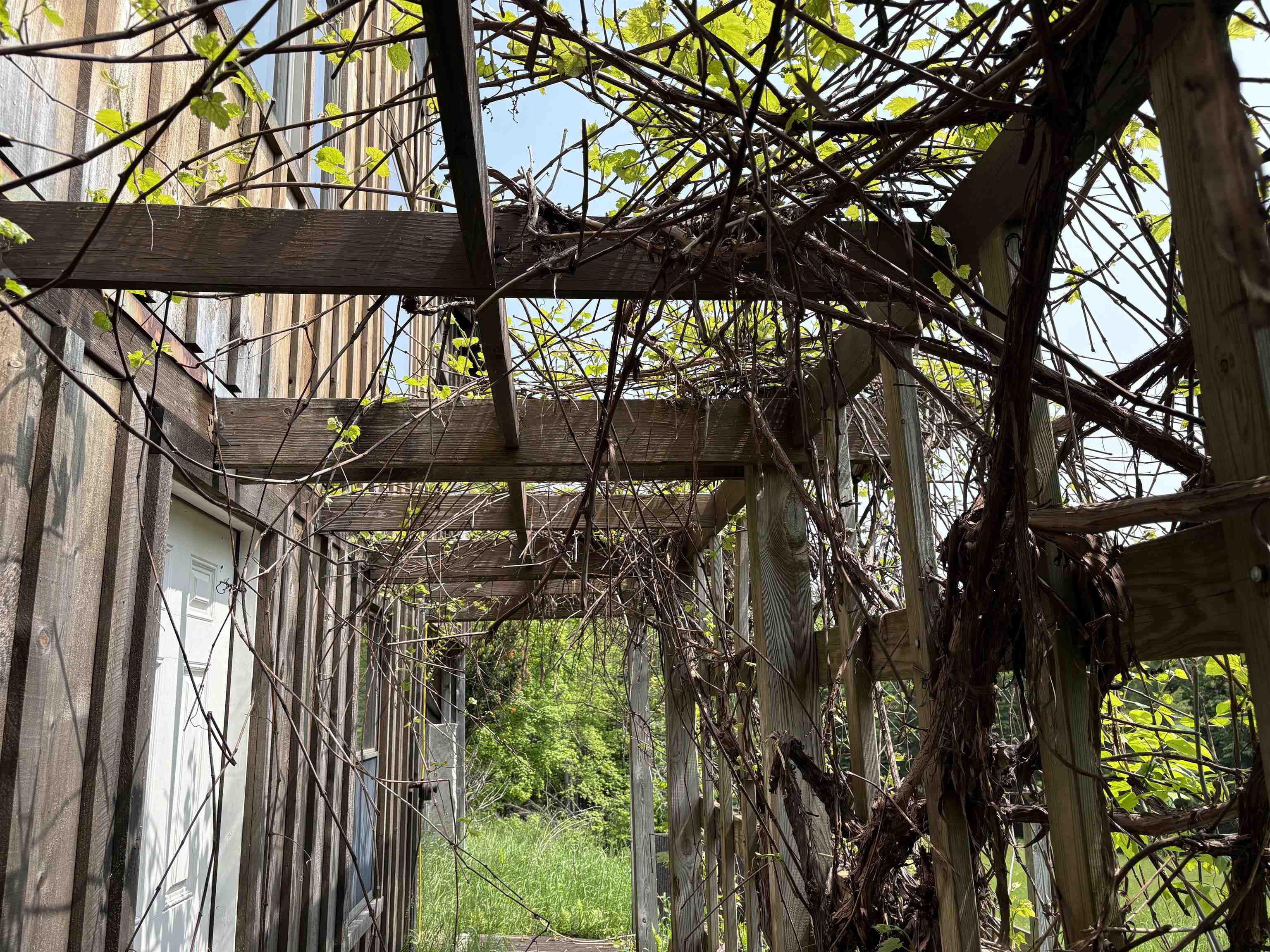 5198 Darling Hill Road Burke, VT 05832 - Photo 55 of 60