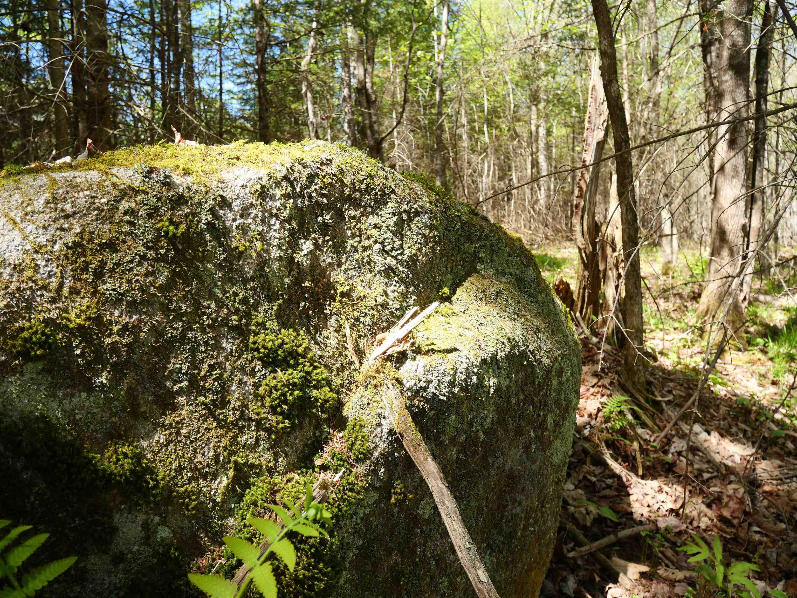 5198 Darling Hill Road Burke, VT 05832 - Photo 56 of 60
