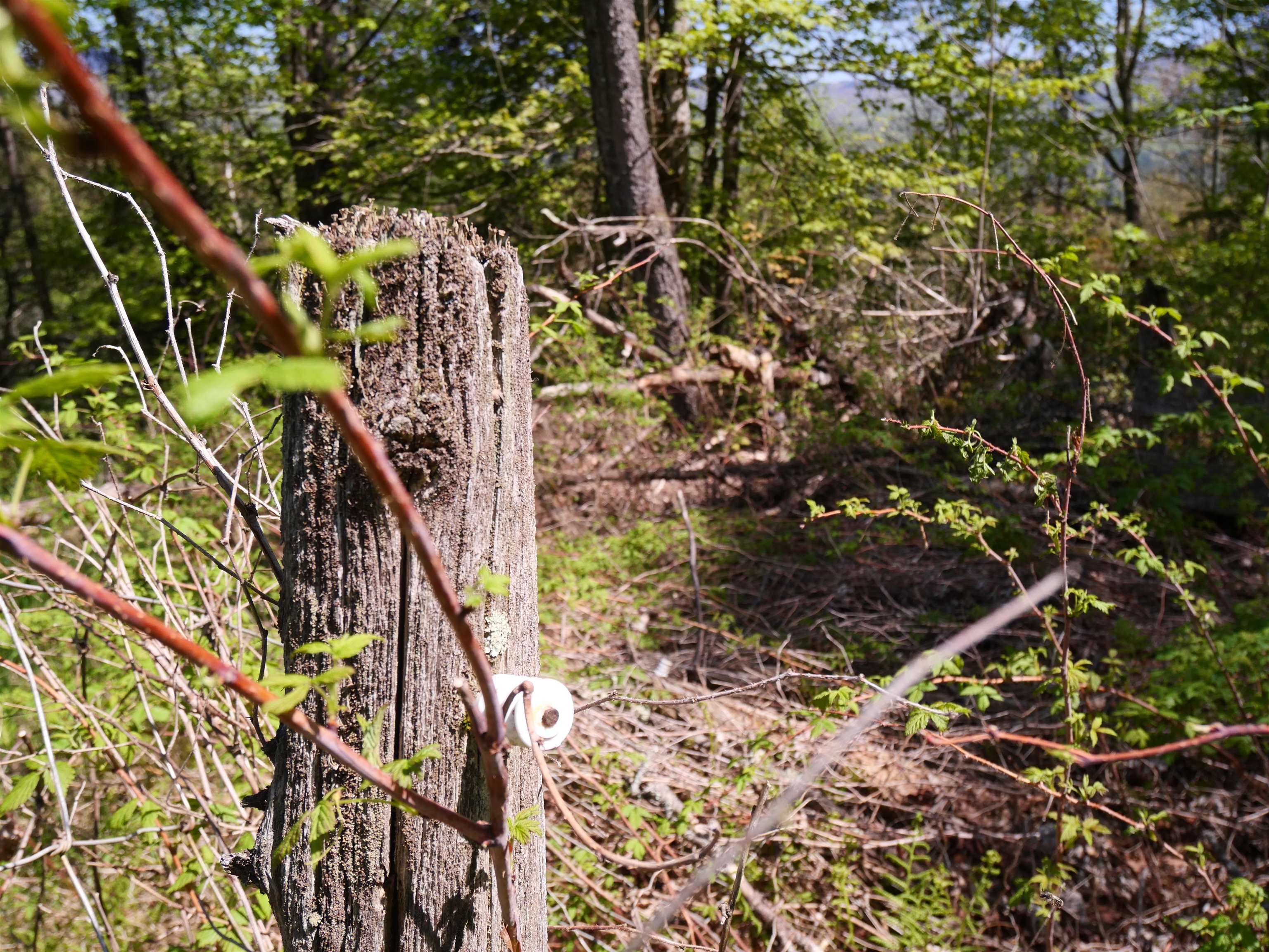 5198 Darling Hill Road Burke, VT 05832 - Photo 57 of 60
