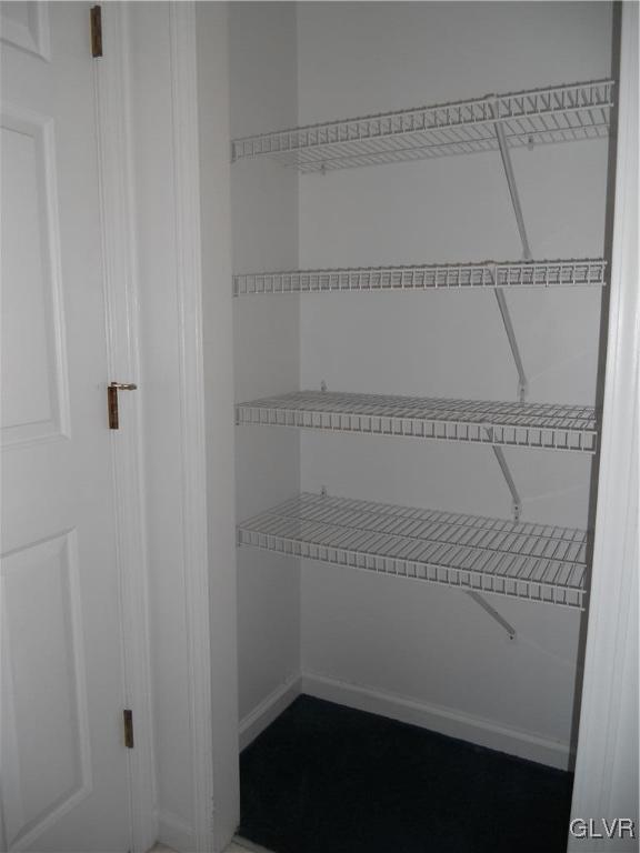 568 Allegheny Road Mount Bethel, PA 18343 - Photo 15 of 36 Bathroom linen closet