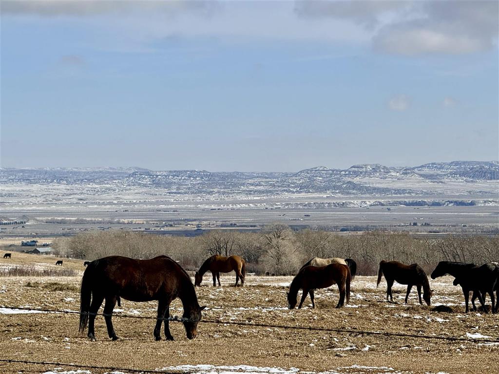 409 North Tolman Road Powell, WY 82435 - Photo 88 of 116 Gallery Image 88