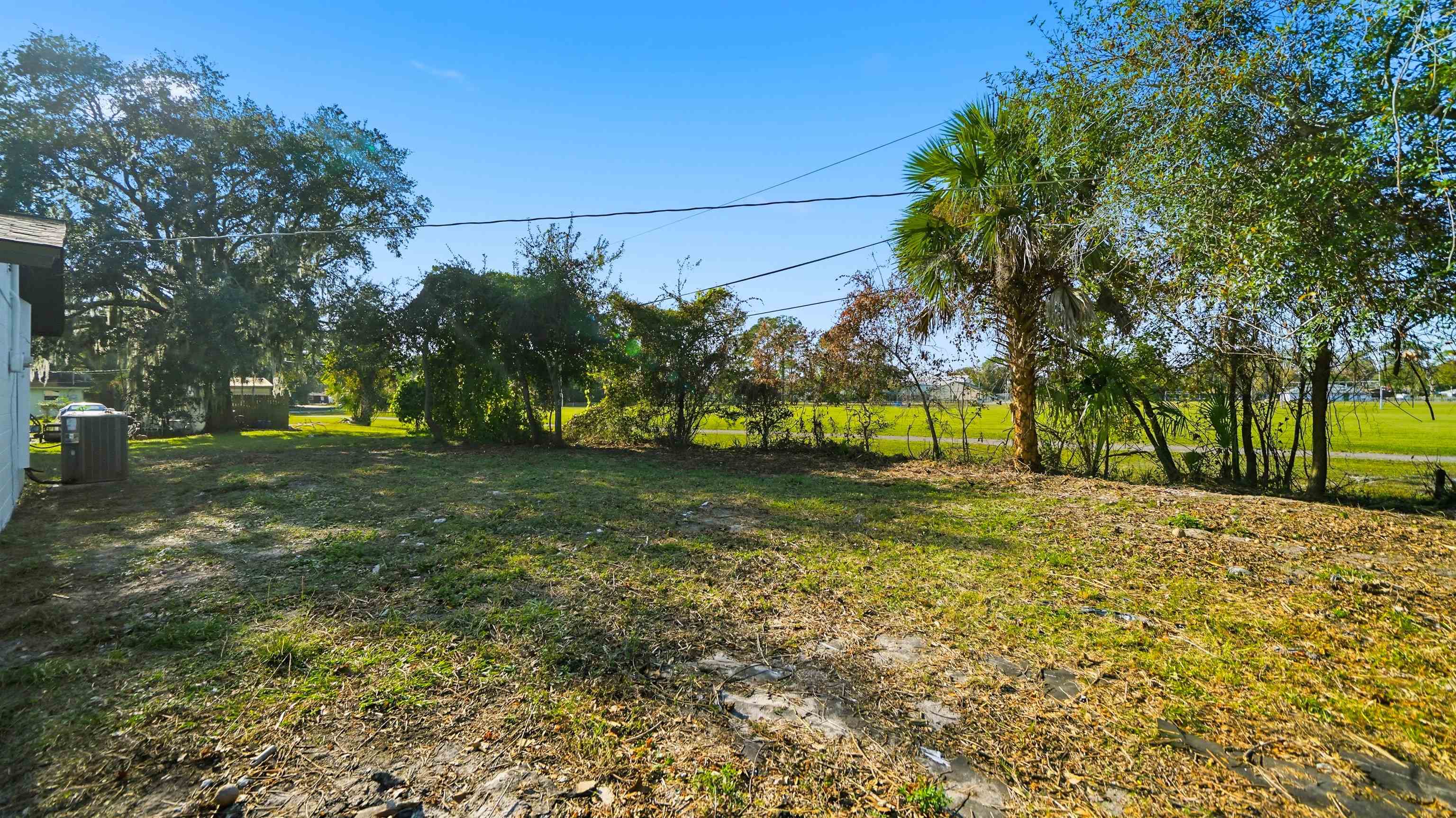 811 Hymon Circle Bunnell, FL 32110 - Photo 28 of 32 a view of a yard with plants and trees