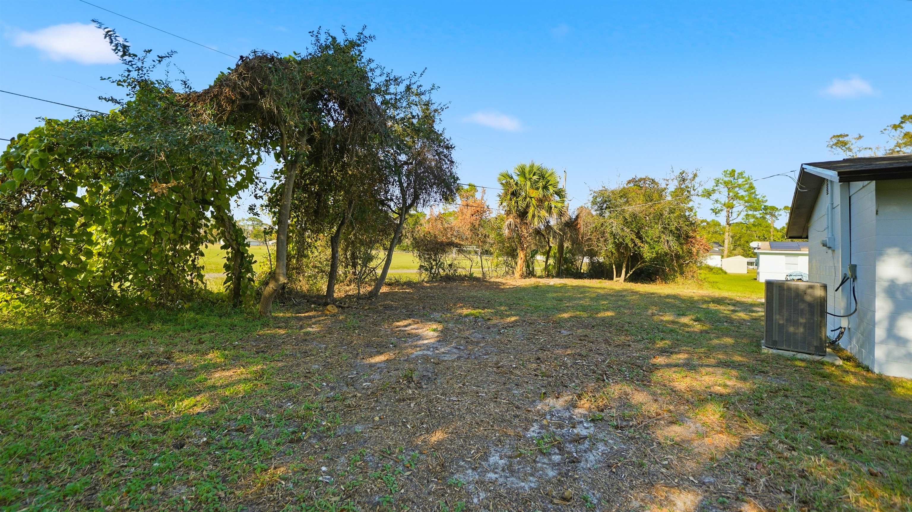 811 Hymon Circle Bunnell, FL 32110 - Photo 29 of 32 a view of yard