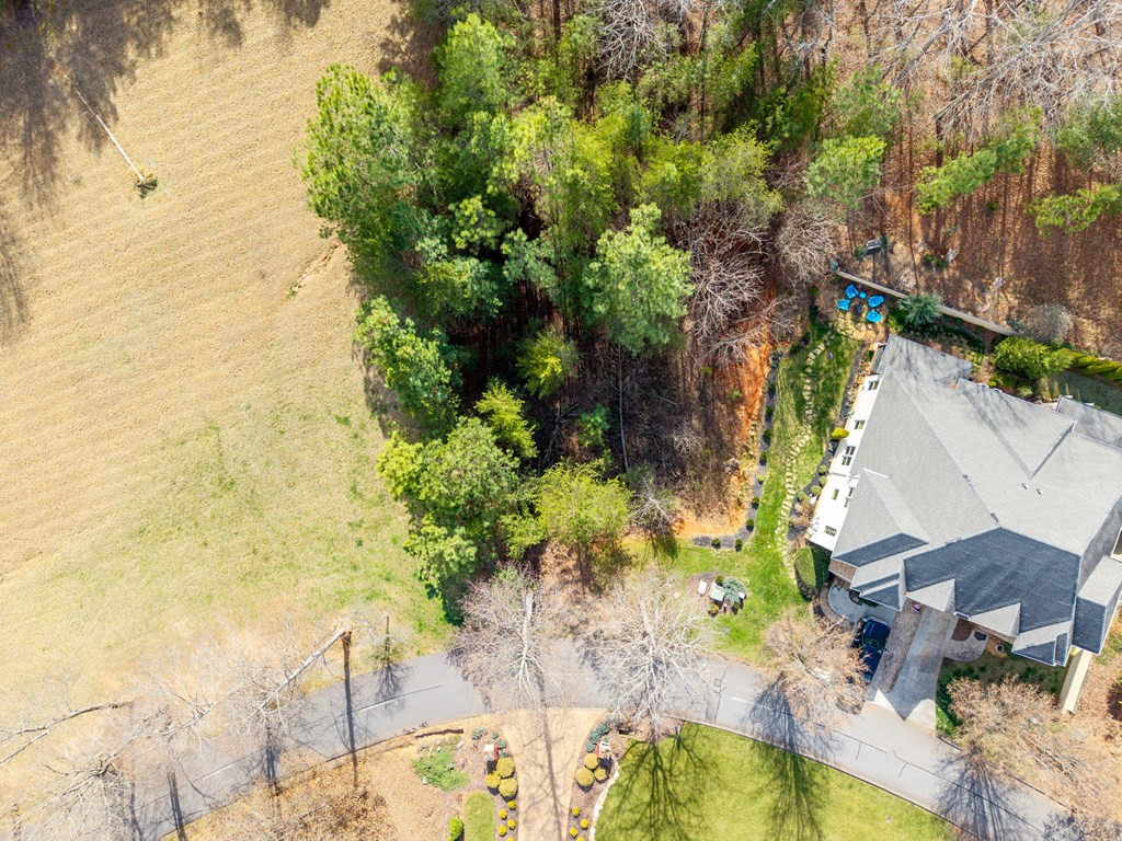 43-44 Licklog Ridge Hayesville, NC 28904 - Photo 3 of 8