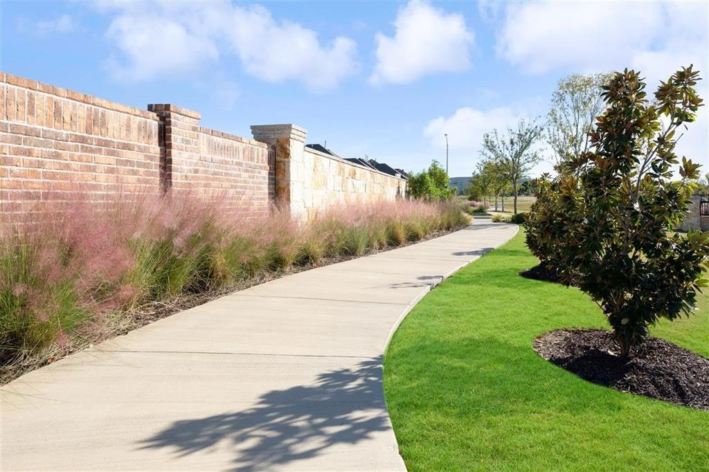 8031 Sunflower Lane Dallas, TX 75252 - Photo 8 of 34 a view of a back yard