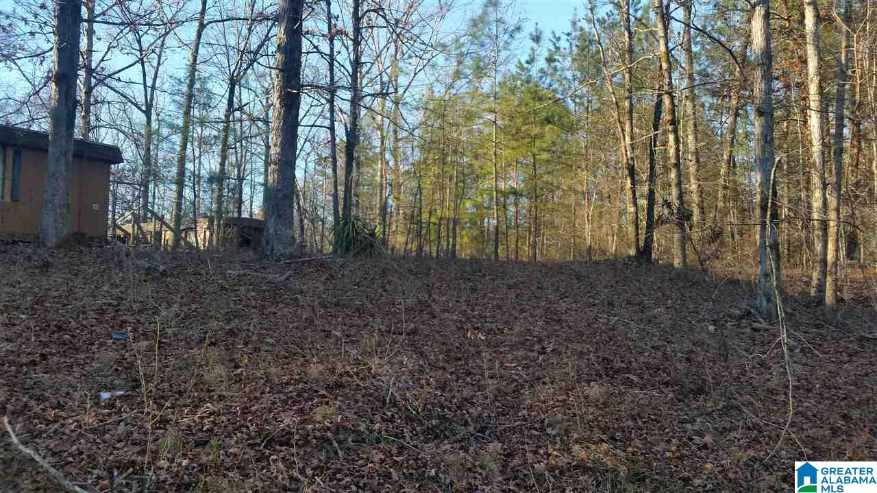2244 Morris Majestic Road, Unit LOT 5 Morris, AL 35116 - Photo 5 of 10