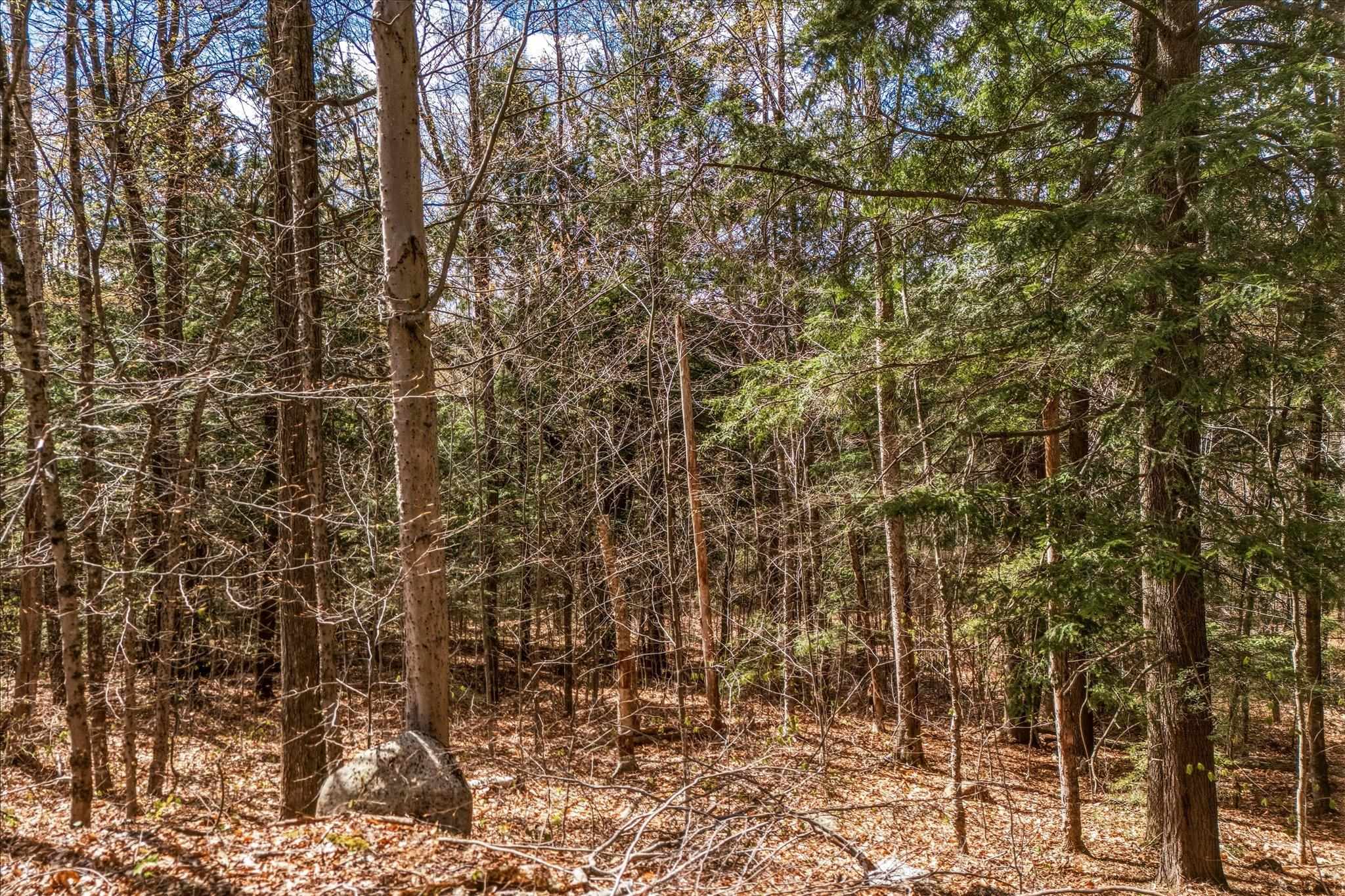 0 East Hill Road Townshend, VT 05353 - Photo 8 of 19