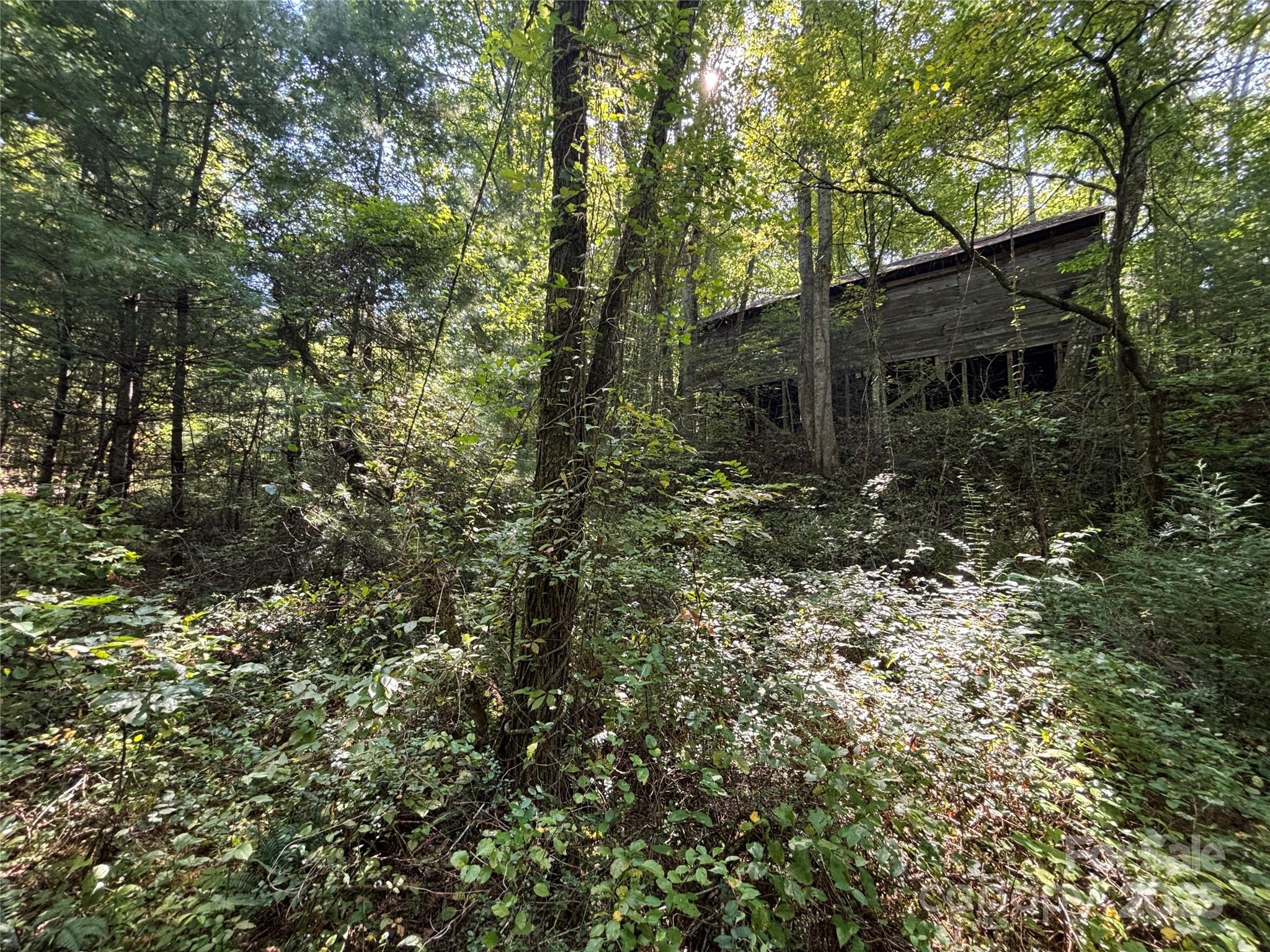 Tbd Old Yellow Branch Road Robbinsville, NC 28771 - Photo 13 of 20 Gallery Image 13