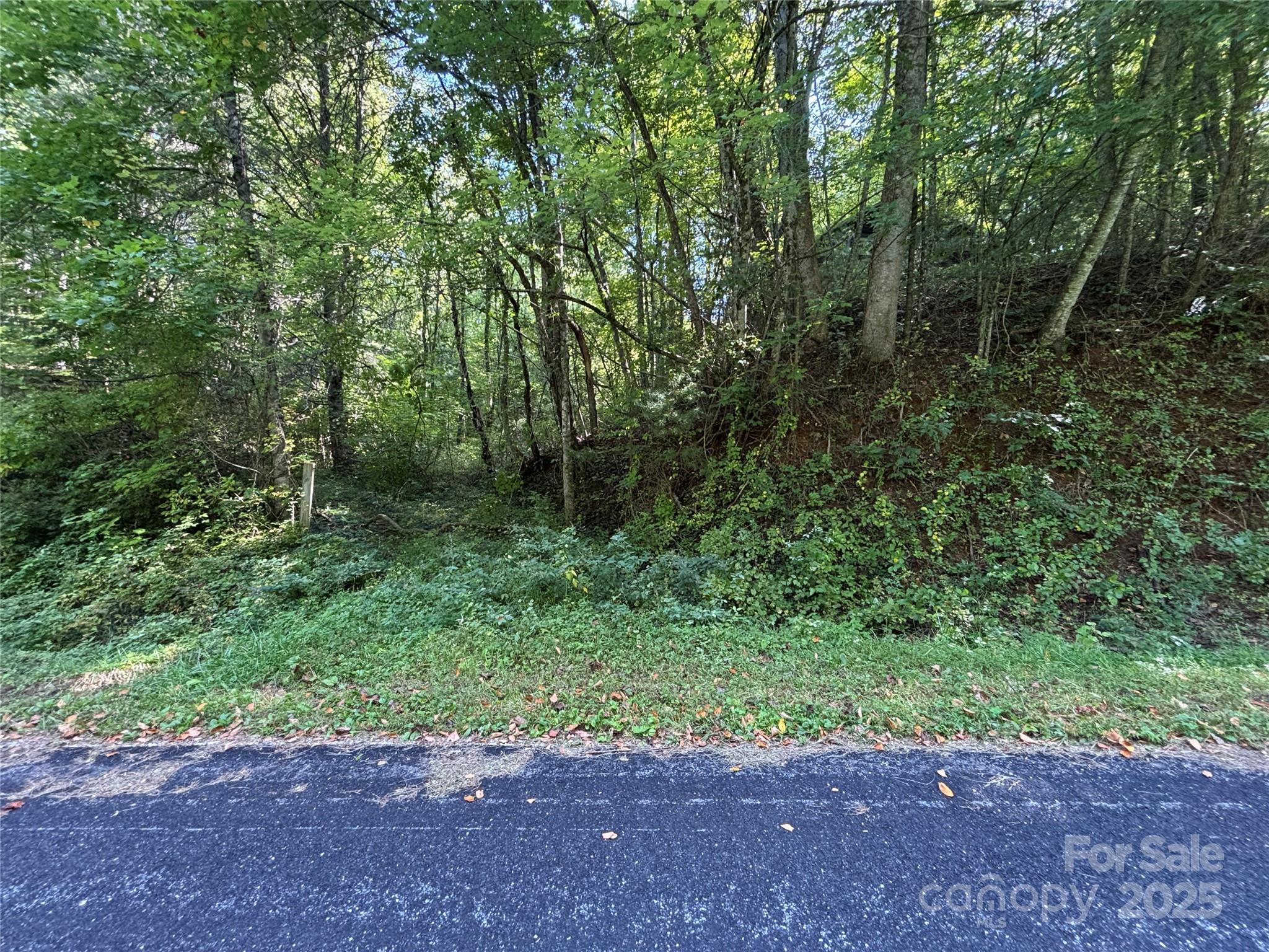 Tbd Old Yellow Branch Road Robbinsville, NC 28771 - Photo 14 of 20 Gallery Image 14