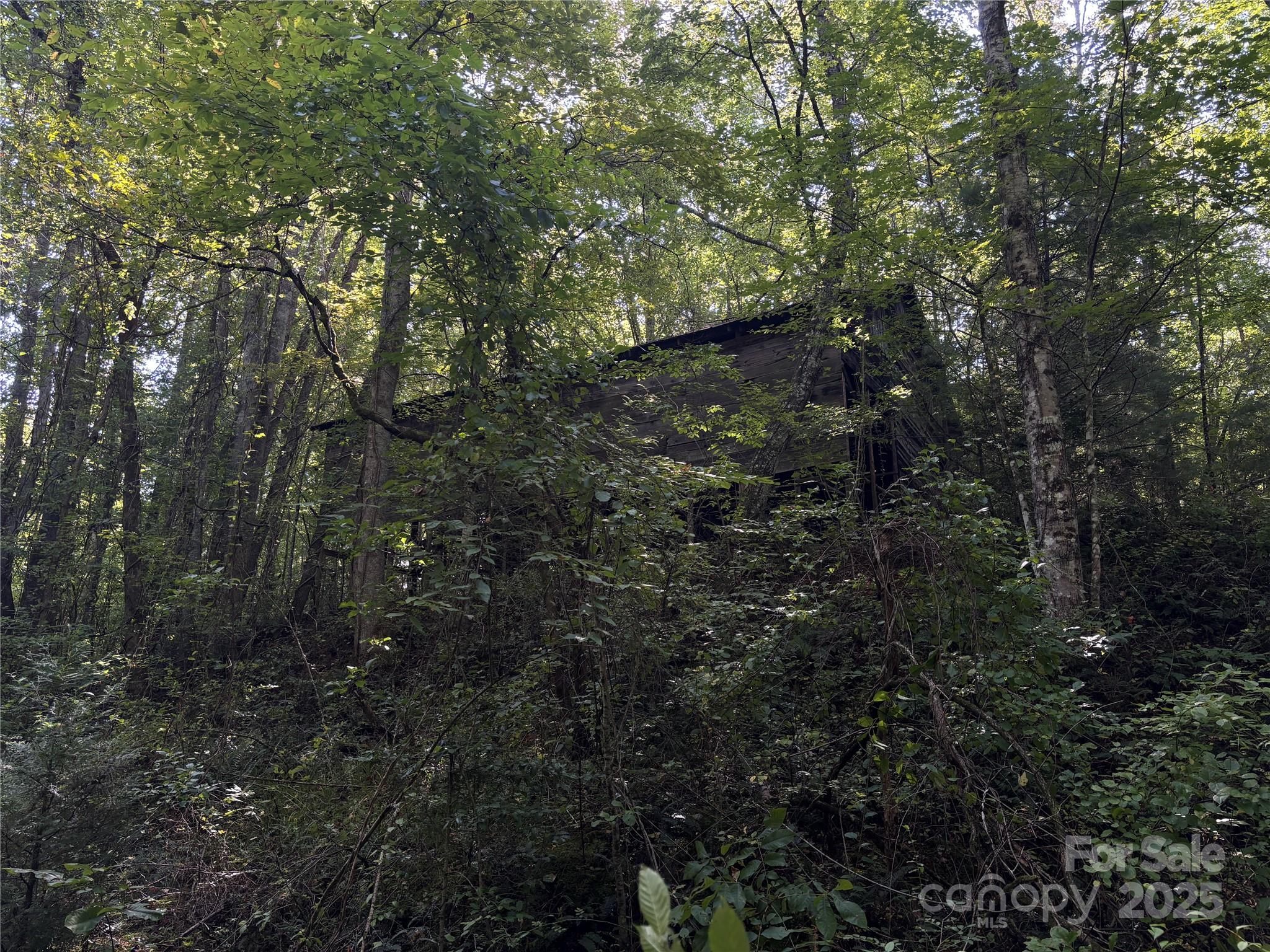 Tbd Old Yellow Branch Road Robbinsville, NC 28771 - Photo 3 of 20 Gallery Image 3