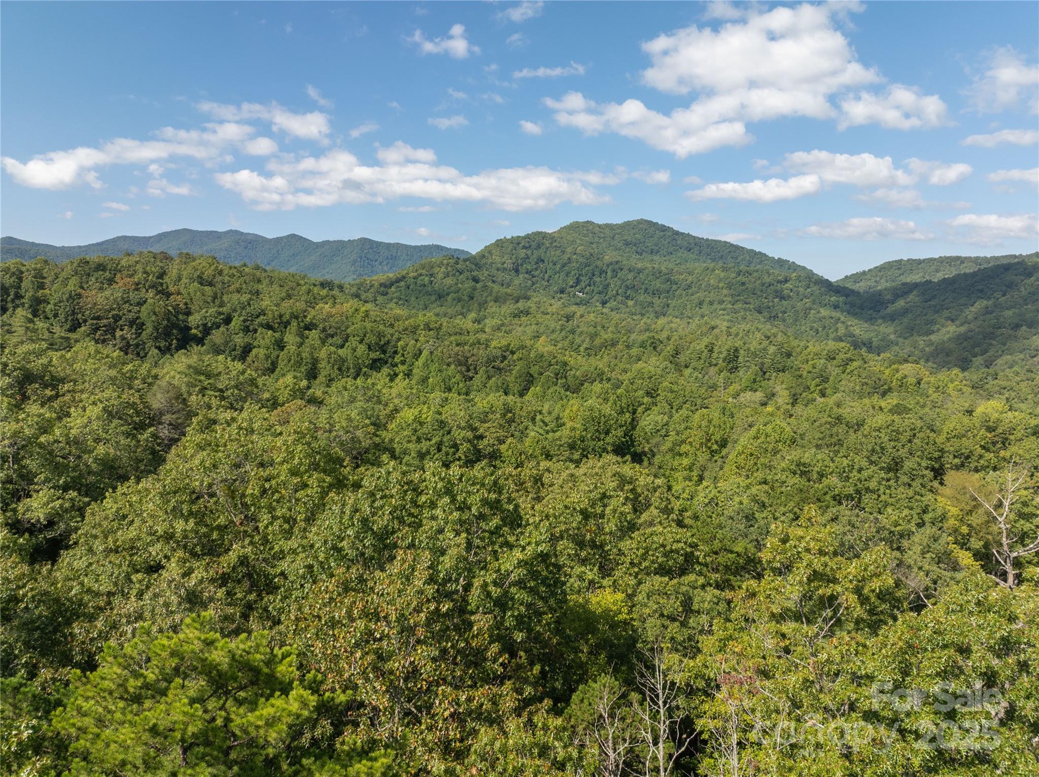 Tbd Old Yellow Branch Road Robbinsville, NC 28771 - Photo 6 of 20 Gallery Image 6