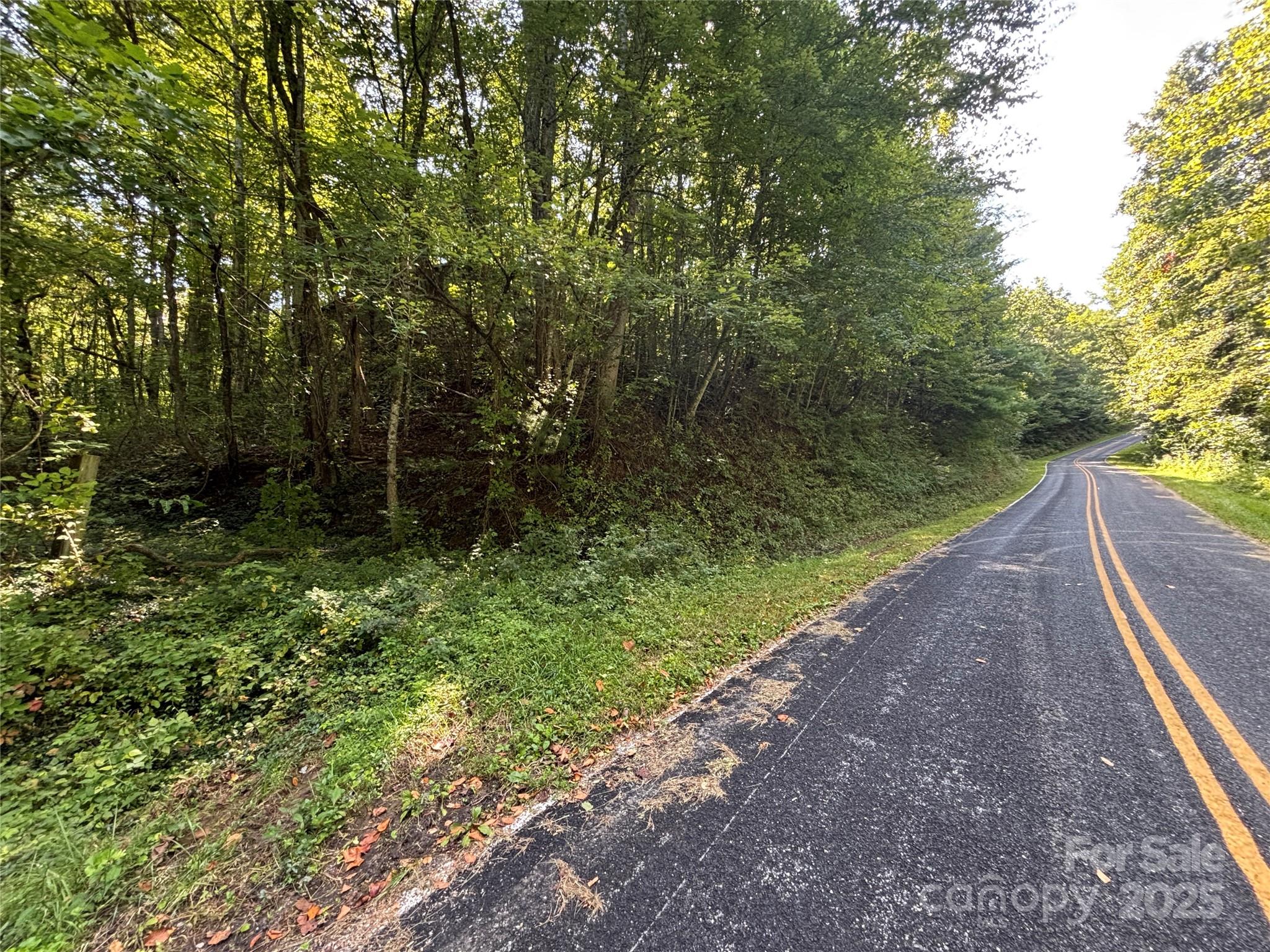 Tbd Old Yellow Branch Road Robbinsville, NC 28771 - Photo 7 of 20 Gallery Image 7