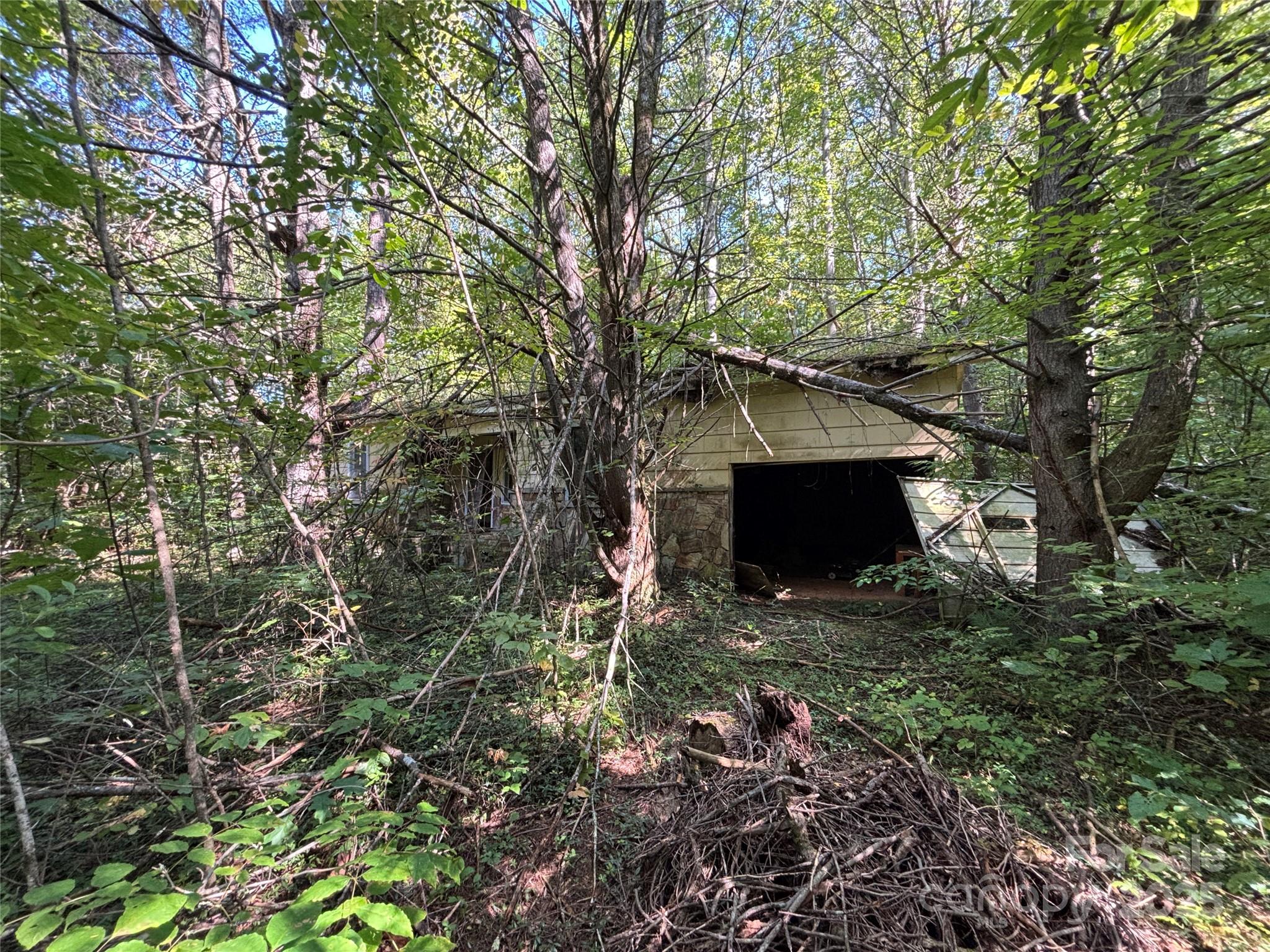 Tbd Old Yellow Branch Road Robbinsville, NC 28771 - Photo 8 of 20 Gallery Image 8