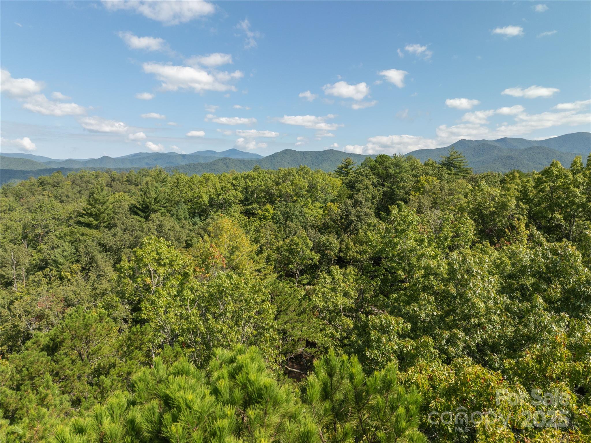 Tbd Old Yellow Branch Road Robbinsville, NC 28771 - Photo 9 of 20 Gallery Image 9