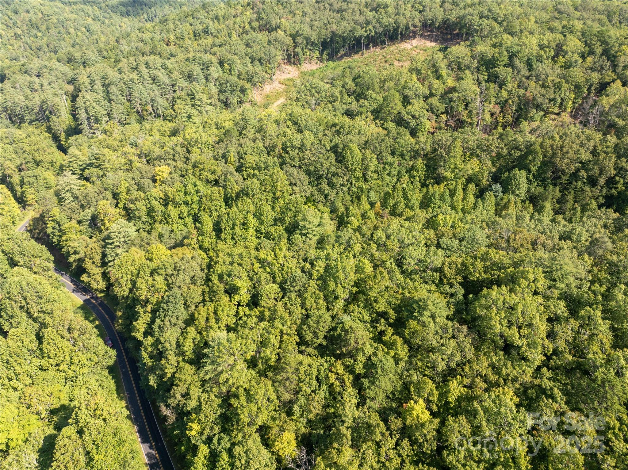 Tbd Old Yellow Branch Road Robbinsville, NC 28771 - Photo 10 of 20 Gallery Image 10