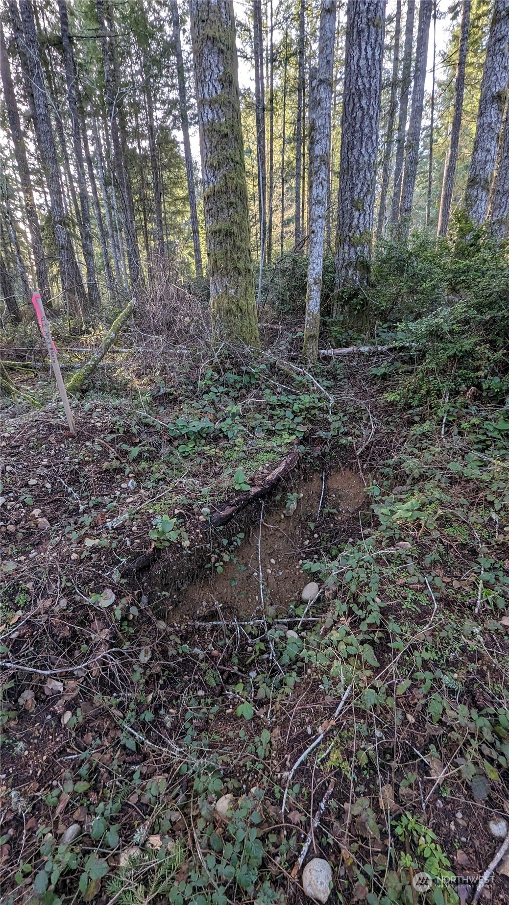 0 Lackey Road Northwest Vaughn, WA 98394 - Photo 14 of 24