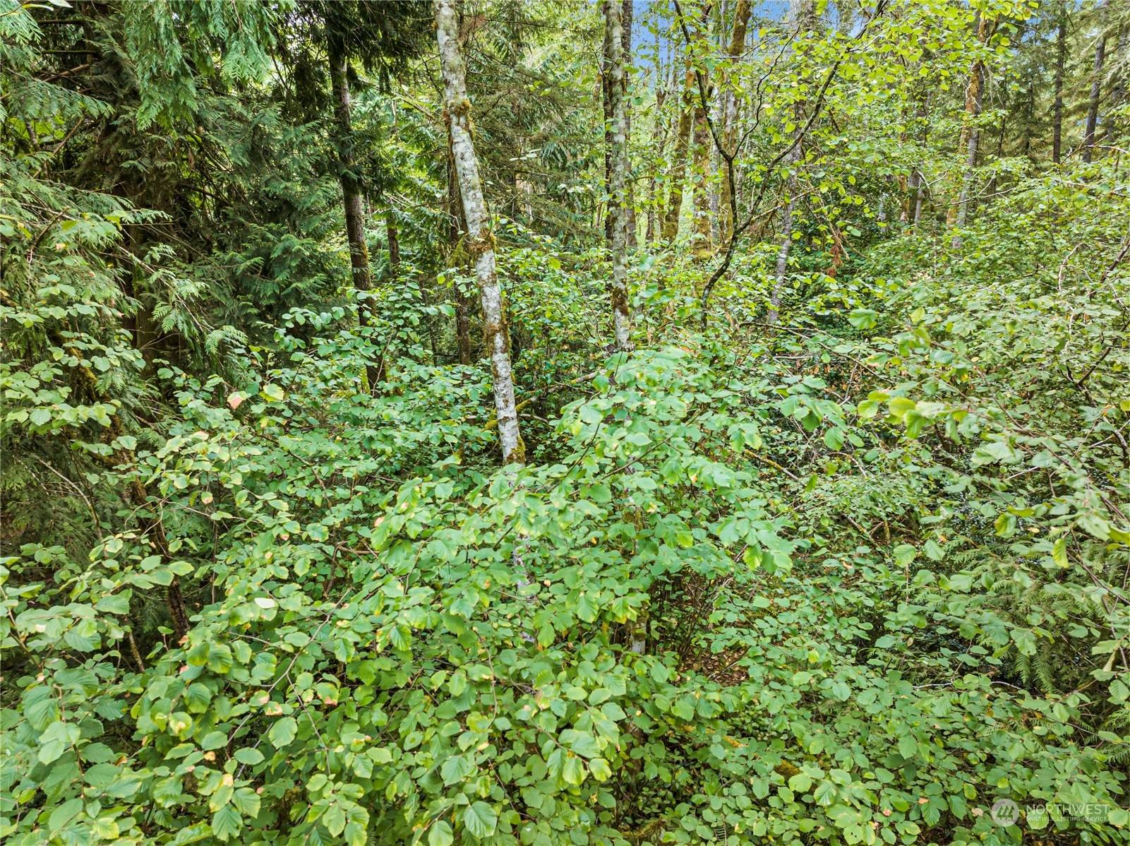 0 Lackey Road Northwest Vaughn, WA 98394 - Photo 16 of 24