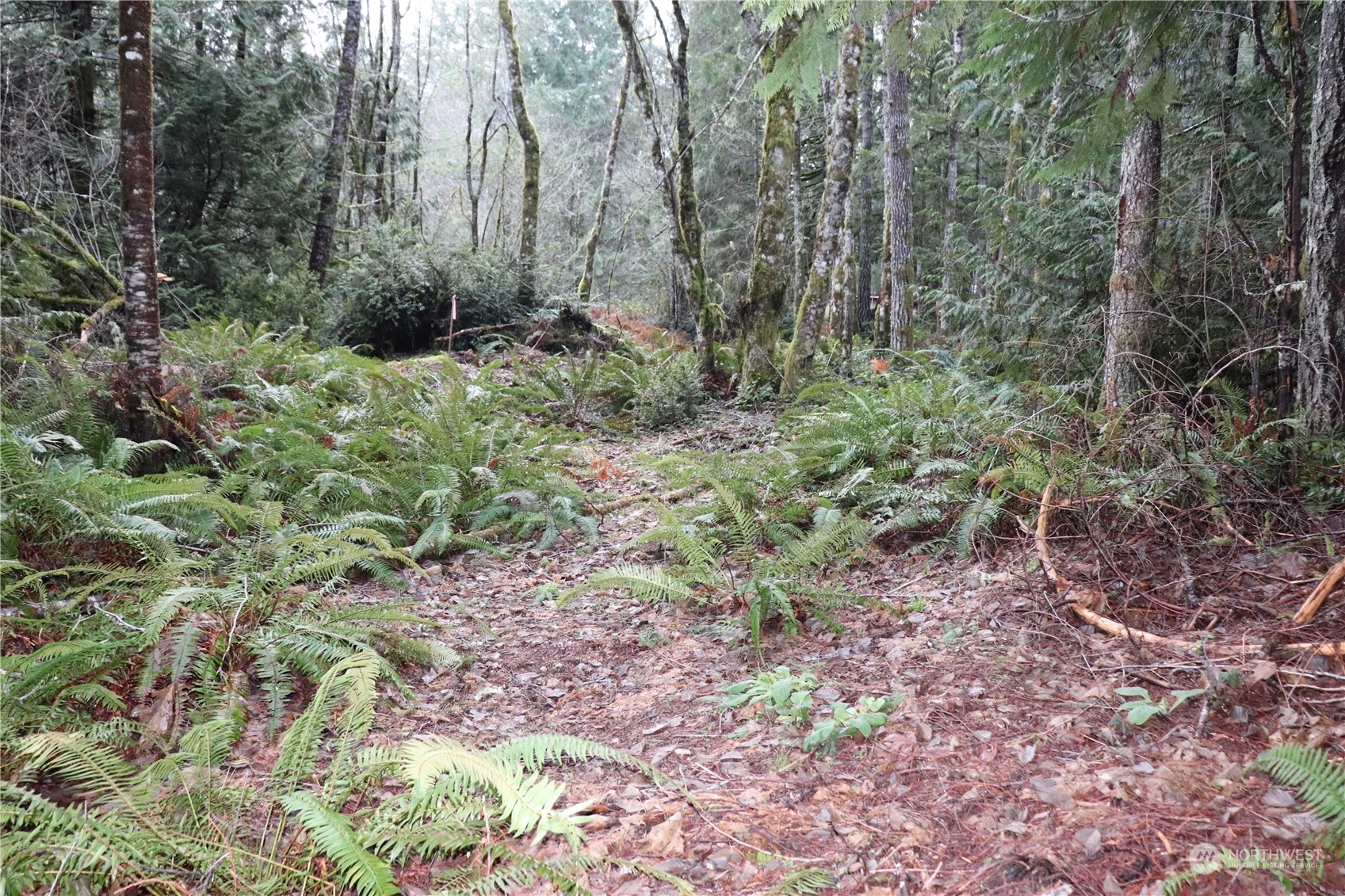 0 Lackey Road Northwest Vaughn, WA 98394 - Photo 2 of 24