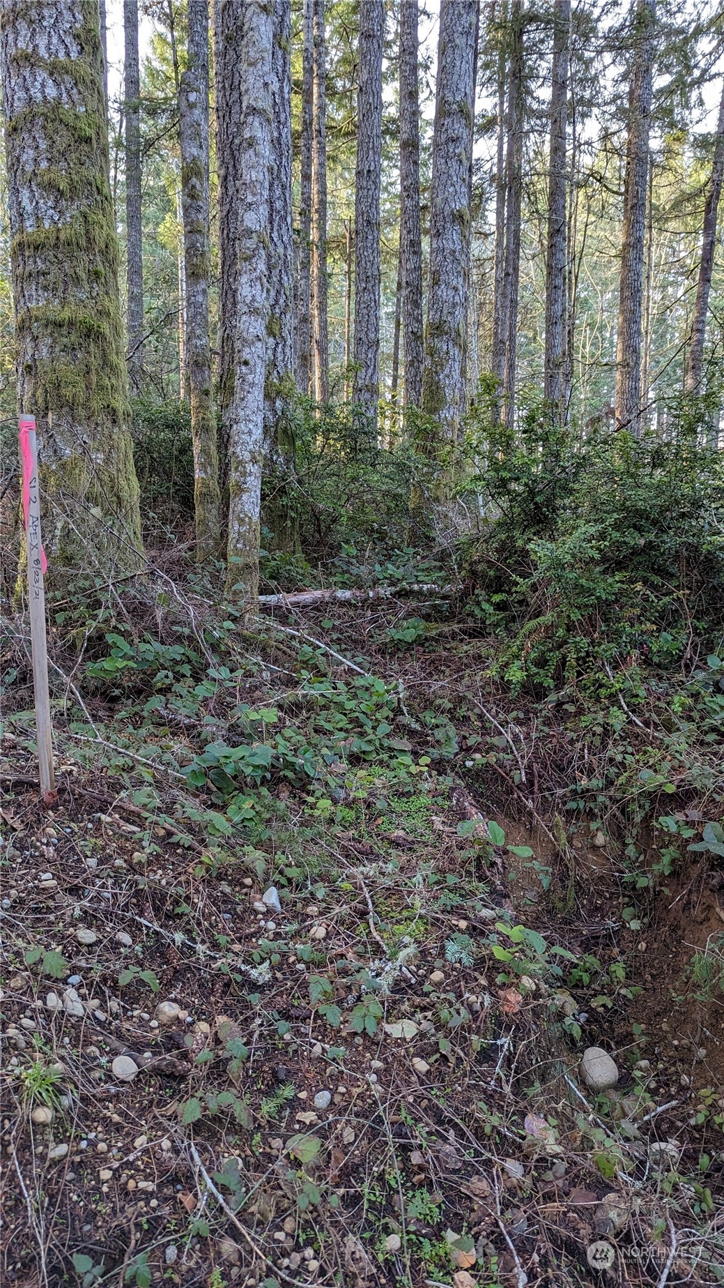0 Lackey Road Northwest Vaughn, WA 98394 - Photo 21 of 24