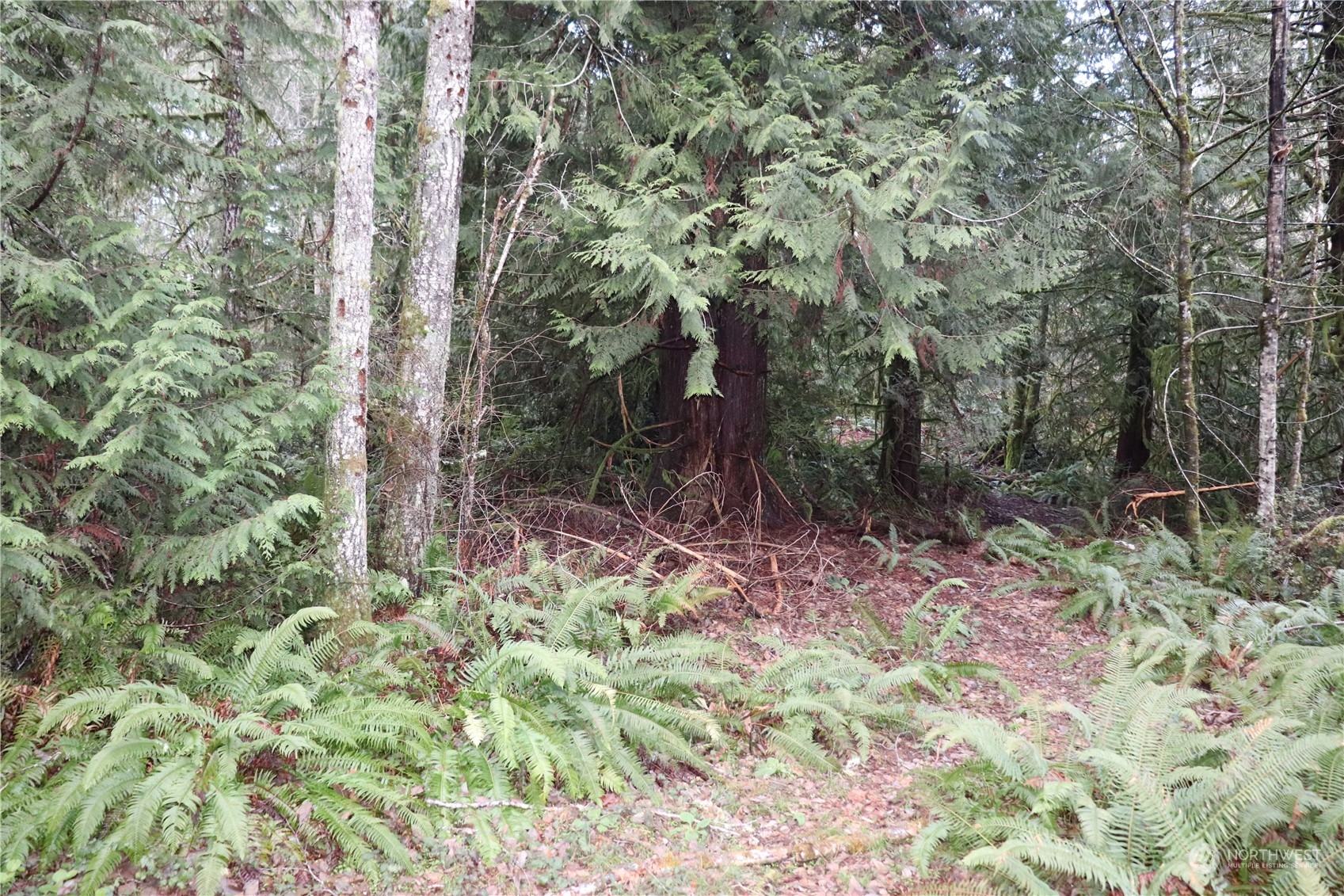 0 Lackey Road Northwest Vaughn, WA 98394 - Photo 3 of 24