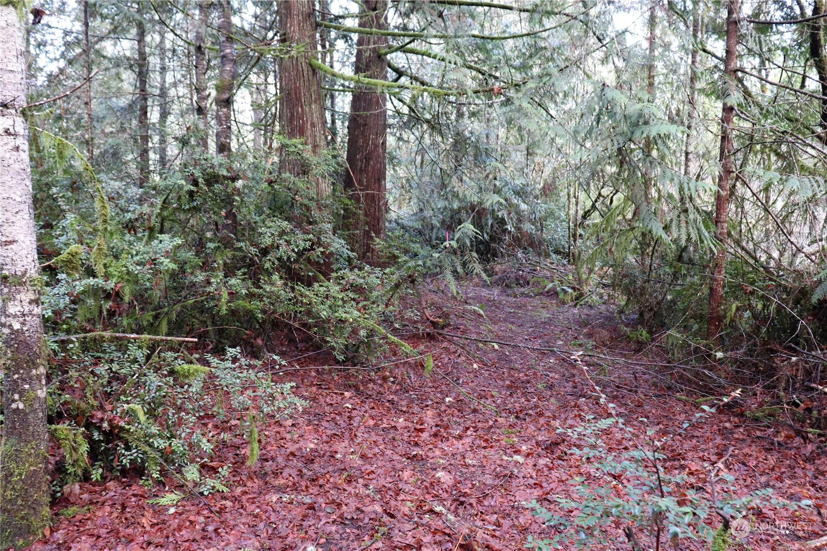 0 Lackey Road Northwest Vaughn, WA 98394 - Photo 4 of 24