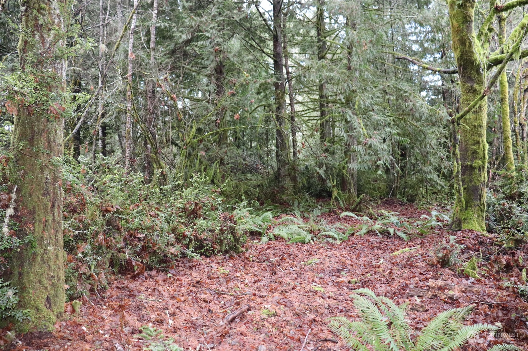 0 Lackey Road Northwest Vaughn, WA 98394 - Photo 5 of 24