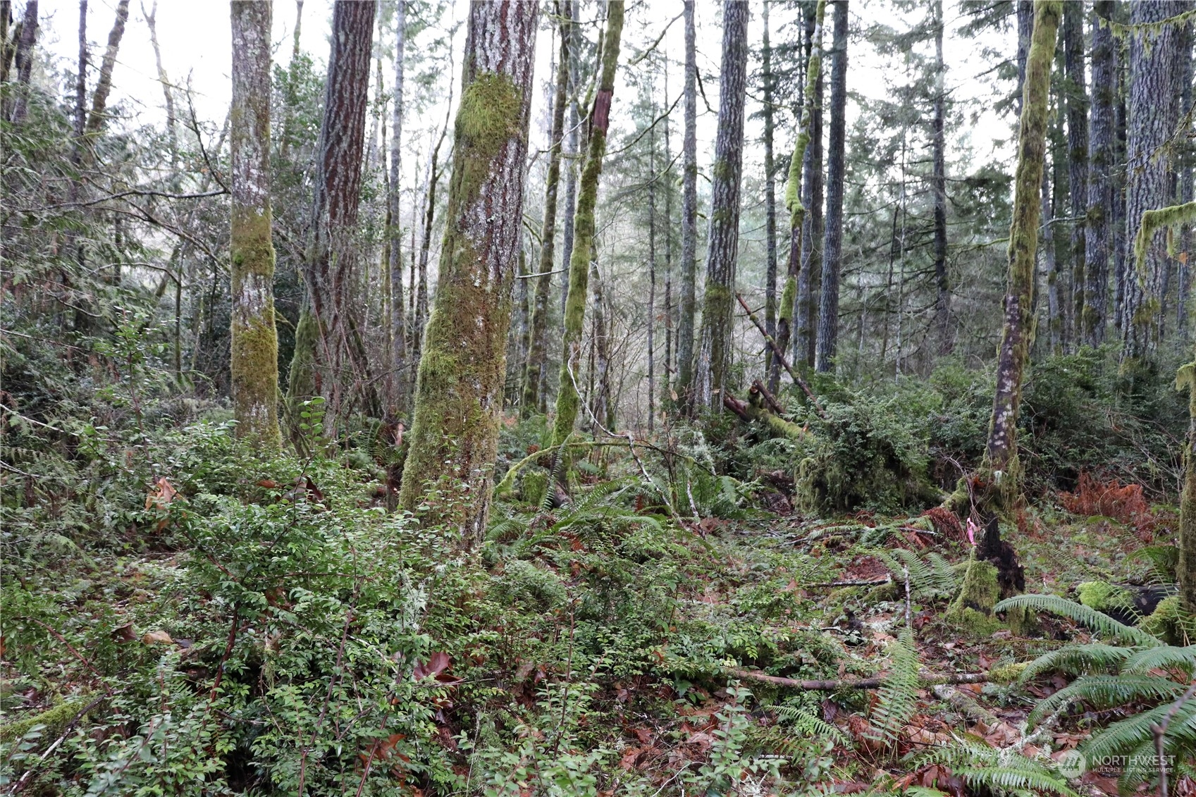 0 Lackey Road Northwest Vaughn, WA 98394 - Photo 9 of 24