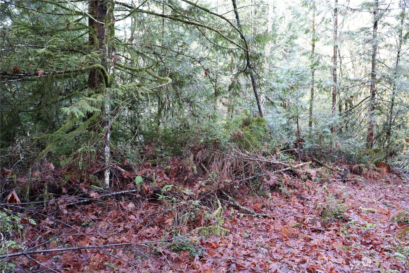 0 Lackey Road Northwest Vaughn, WA 98394 - Photo 10 of 24