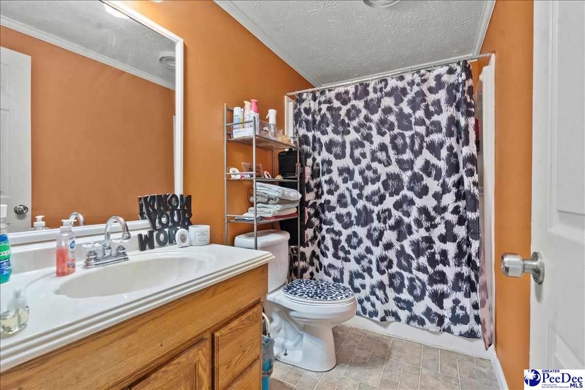 41 New Zion Road Lake City, SC 29560 - Photo 26 of 48 Gallery Image 26