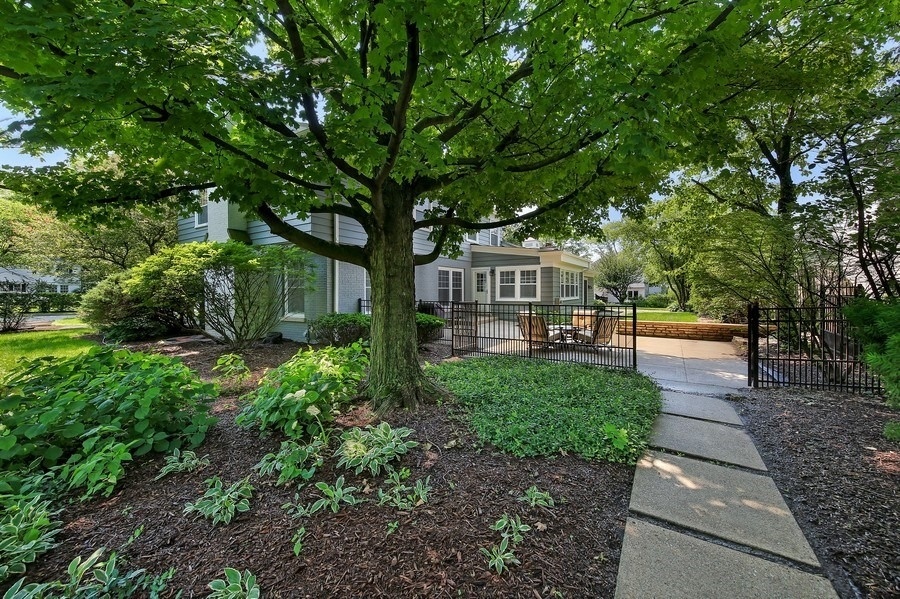 906 South County Line Road Hinsdale, IL 60521 - Photo 34 of 44 a park view with large trees and plants