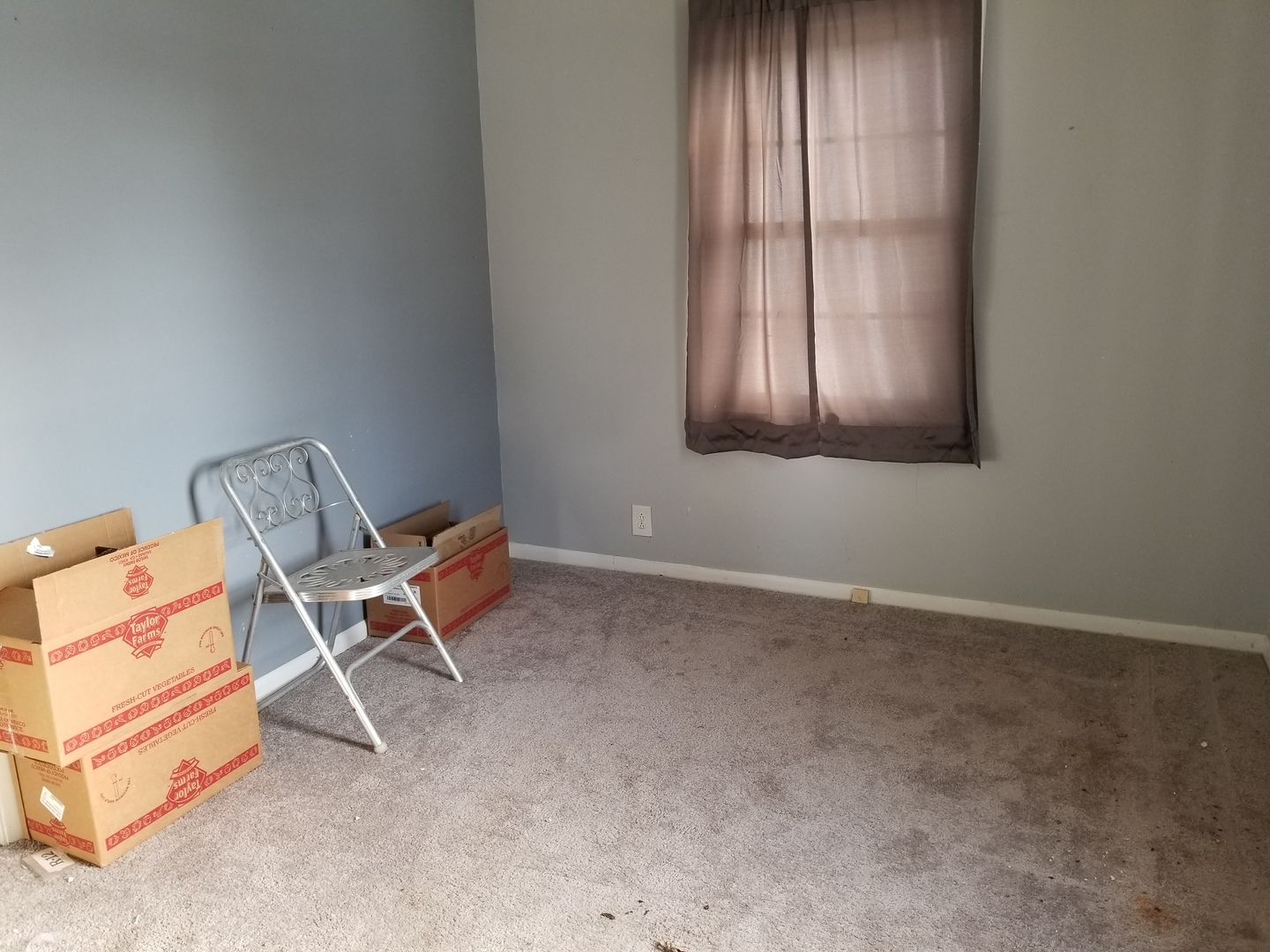 157 East 34th Street Steger, IL 60475 - Photo 6 of 10