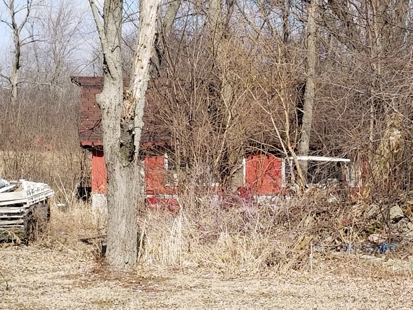 157 East 34th Street Steger, IL 60475 - Photo 10 of 10