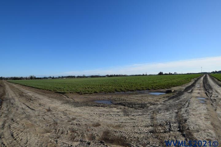 22506 Bents Road Northeast Aurora, OR 97002 - Photo 13 of 33