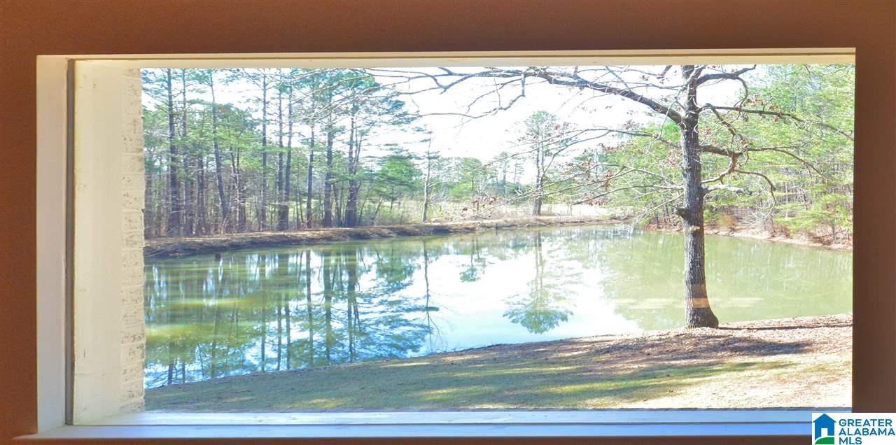 132 Holiday Lane Chelsea, AL 35043 - Photo 25 of 50