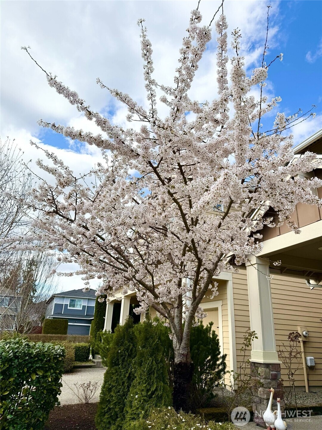 3215 170th Place Southeast Bothell, WA 98012 - Photo 30 of 34